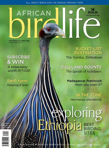 African Birdlife – September-October 2020