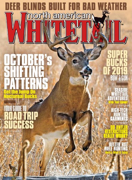 North American Whitetail – October 2020