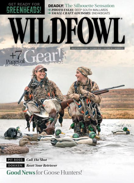 Wildfowl – October 2020