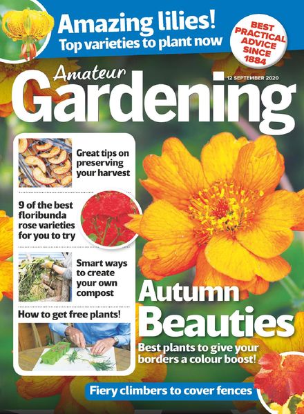 Amateur Gardening – 12 September 2020