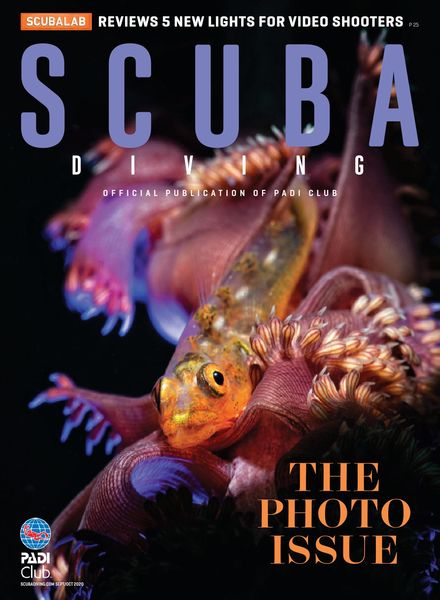 Scuba Diving – September 2020
