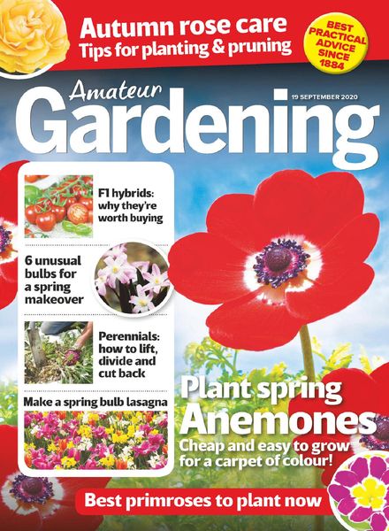 Amateur Gardening – 19 September 2020