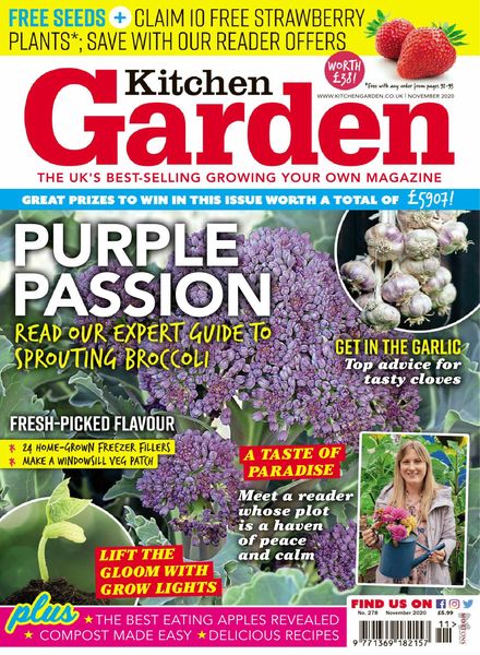 Kitchen Garden – November 2020