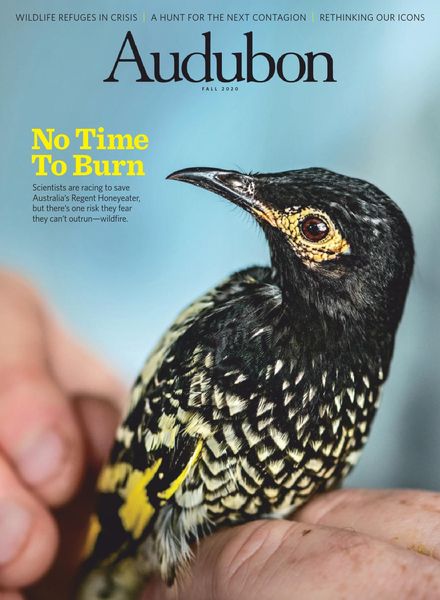 Audubon Magazine – September 2020