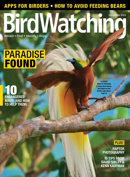 BirdWatching USA – November-December 2020