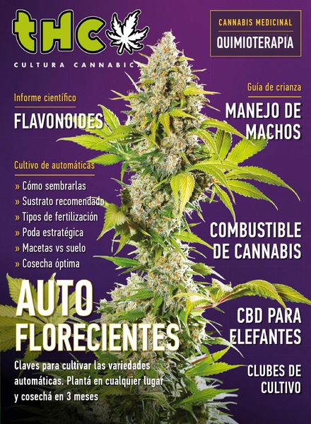 Revista THC – octubre 2020