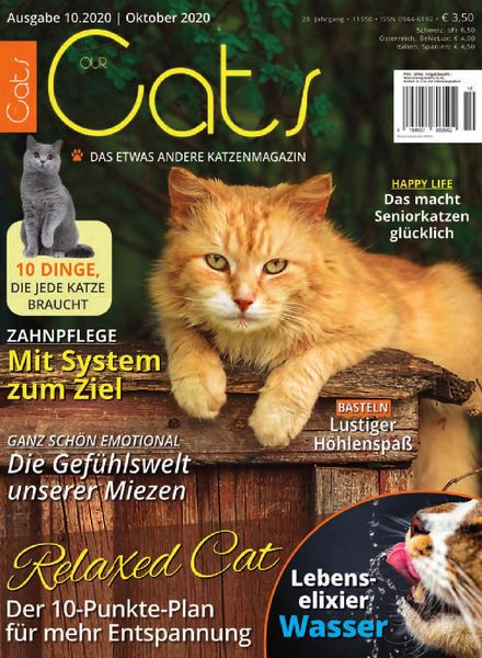 Our Cats – Oktober 2020