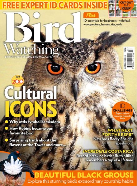 Bird Watching UK – October 2020