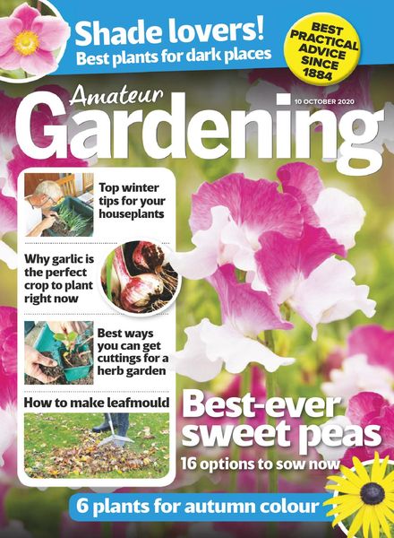 Amateur Gardening – 10 October 2020