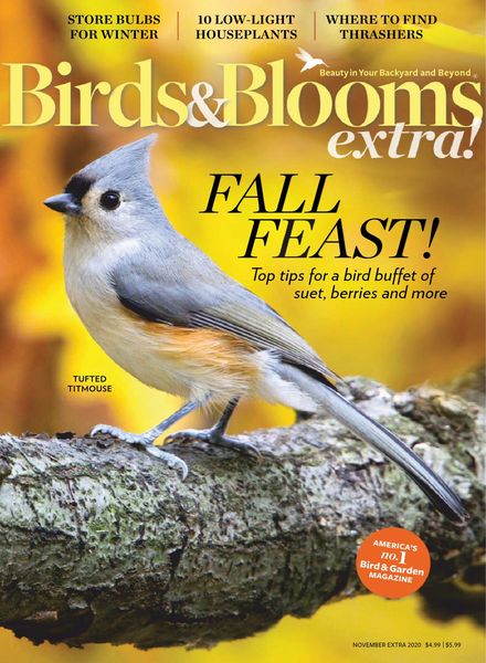 Birds and Blooms Extra – November 2020