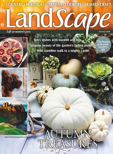 Landscape UK – November 2020