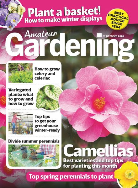 Amateur Gardening – 17 October 2020