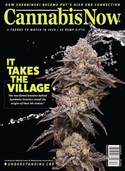 Cannabis Now – Issue 40 – October 2020