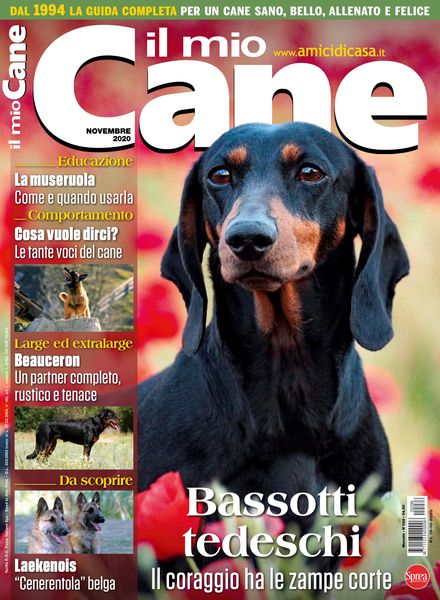 Il Mio Cane – Novembre 2020