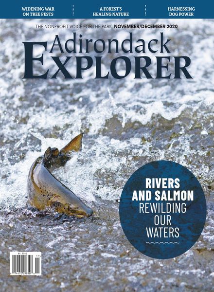 Adirondack Explorer – November-December 2020