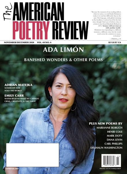 The American Poetry Review – November-December 2020