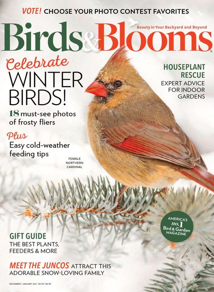 Birds & Blooms – December-January 2020