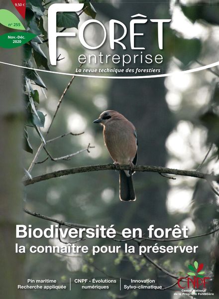 Foret Entreprise – Novembre-Decembre 2020