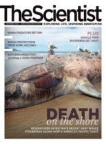 The Scientist – November 2020