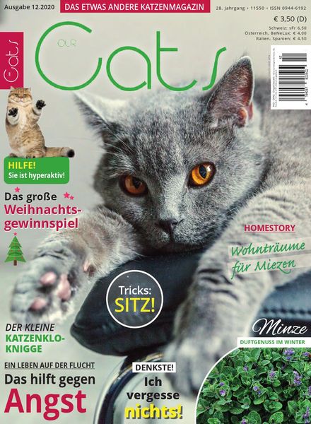 Our Cats – Dezember 2020
