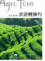 GoGo XinTaiwan – 2020-11-26