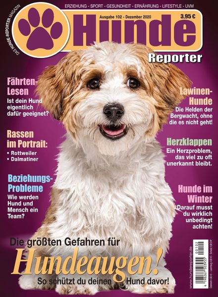 Hunde-Reporter – 27 November 2020