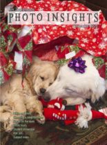 Photo Insights – December 2020