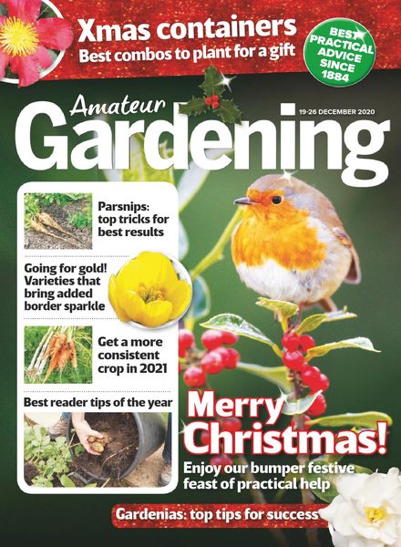 Amateur Gardening – 19 December 2020