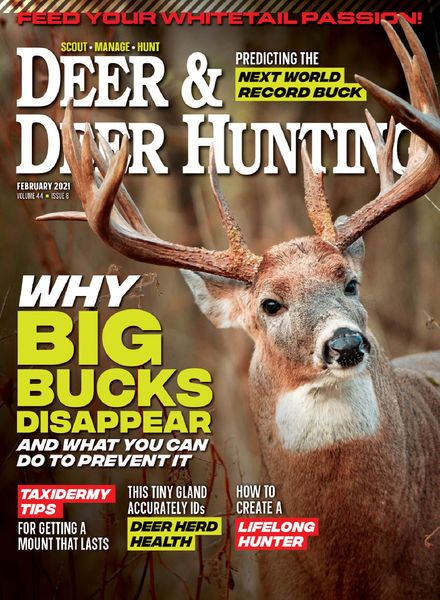 Deer & Deer Hunting – February 2021