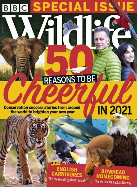 BBC Wildlife – January 2021