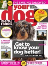 Your Dog – November 2020