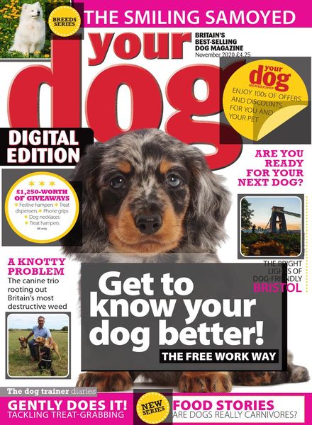 Your Dog – November 2020