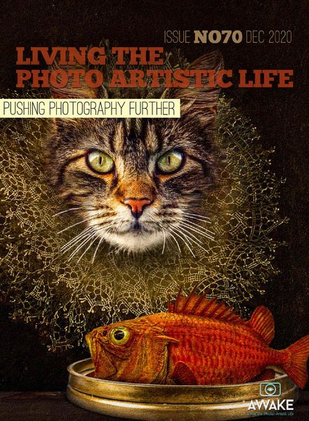 Living The Photo Artistic Life – December 2020