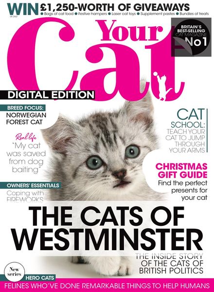 Your Cat – November 2020