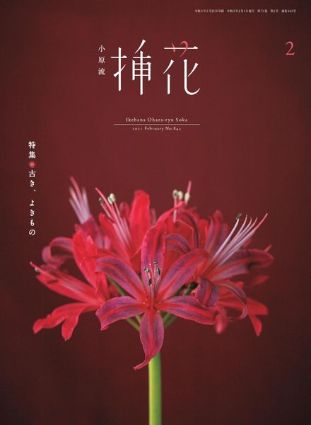 eBooks – 2021-02-01