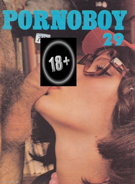 Pornoboy – Nr.29