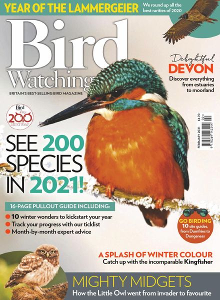 Bird Watching UK – February 2021