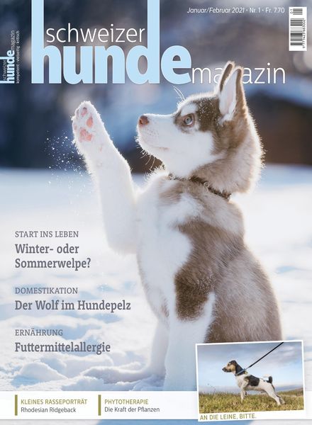 Schweizer Hunde Magazin – 07 Januar 2021