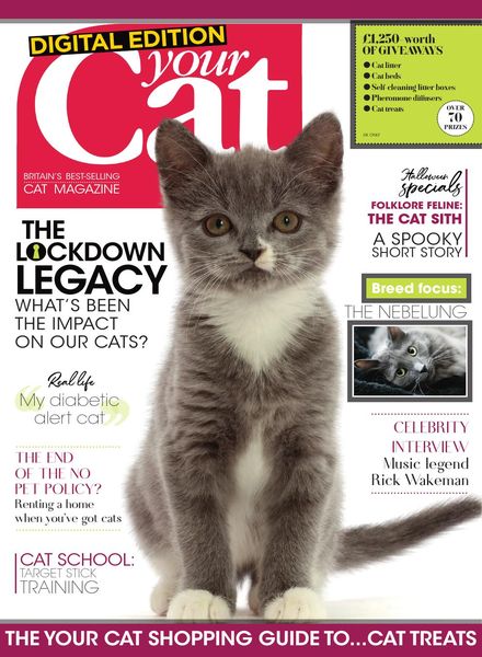 Your Cat – October 2020
