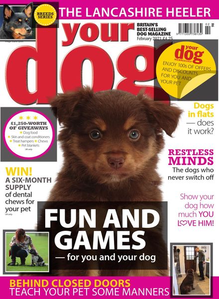 Your Dog – February 2021