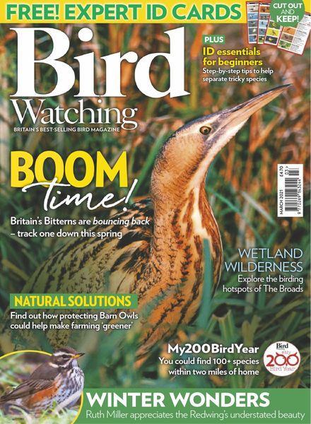 Bird Watching UK – March 2021