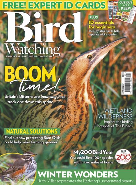 Bird Watching UK – March 2021