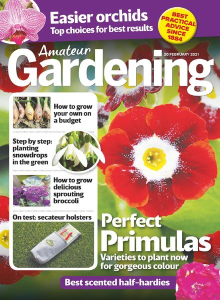 Amateur Gardening – 20 February 2021