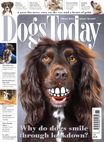 Dogs Today UK – November 2020