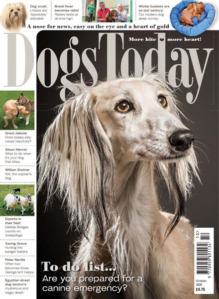 Dogs Today UK – October 2020