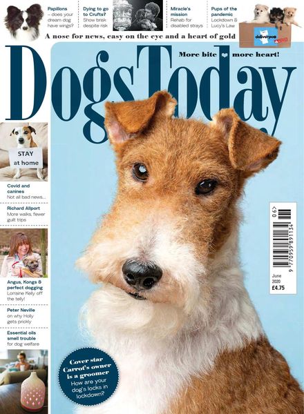 Dogs Today UK – June 2020