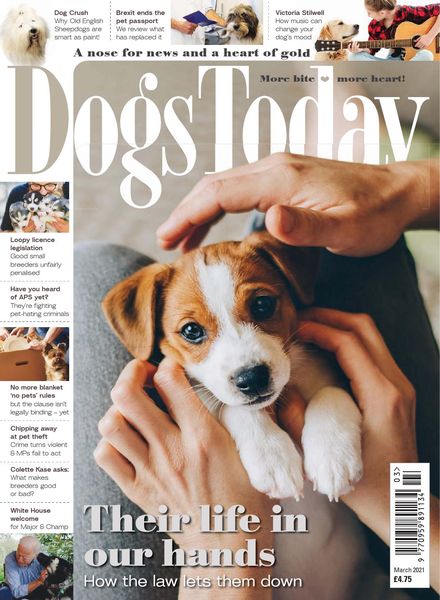 Dogs Today UK – March 2021