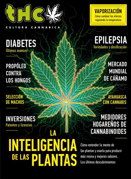 Revista THC – febrero 2021