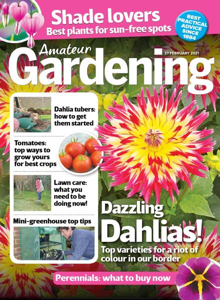 Amateur Gardening – 27 February 2021