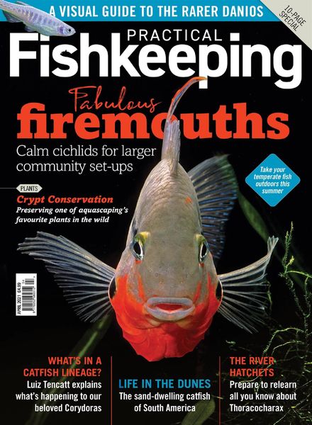 Practical Fishkeeping – April 2021